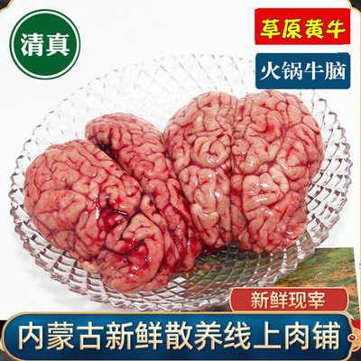 清真内蒙草饲新鲜整牛脑火锅烧烤