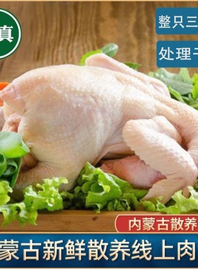 清真新鲜整只鸡三黄鸡盐焗白斩鸡烤鸡卤用冰鲜冷冻家商用生鲜全鸡