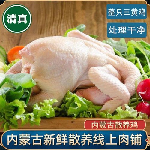 清真无抗生鲜整只鸡三黄鸡内蒙鸡