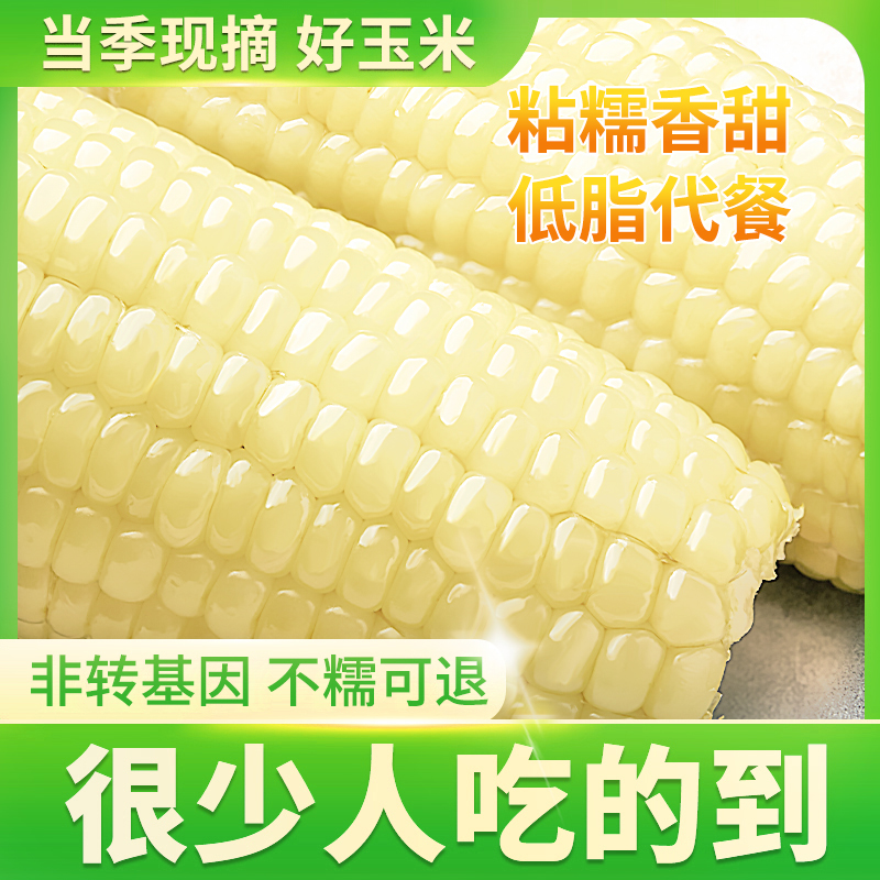 新鲜白糯玉米低脂黏糯玉米棒