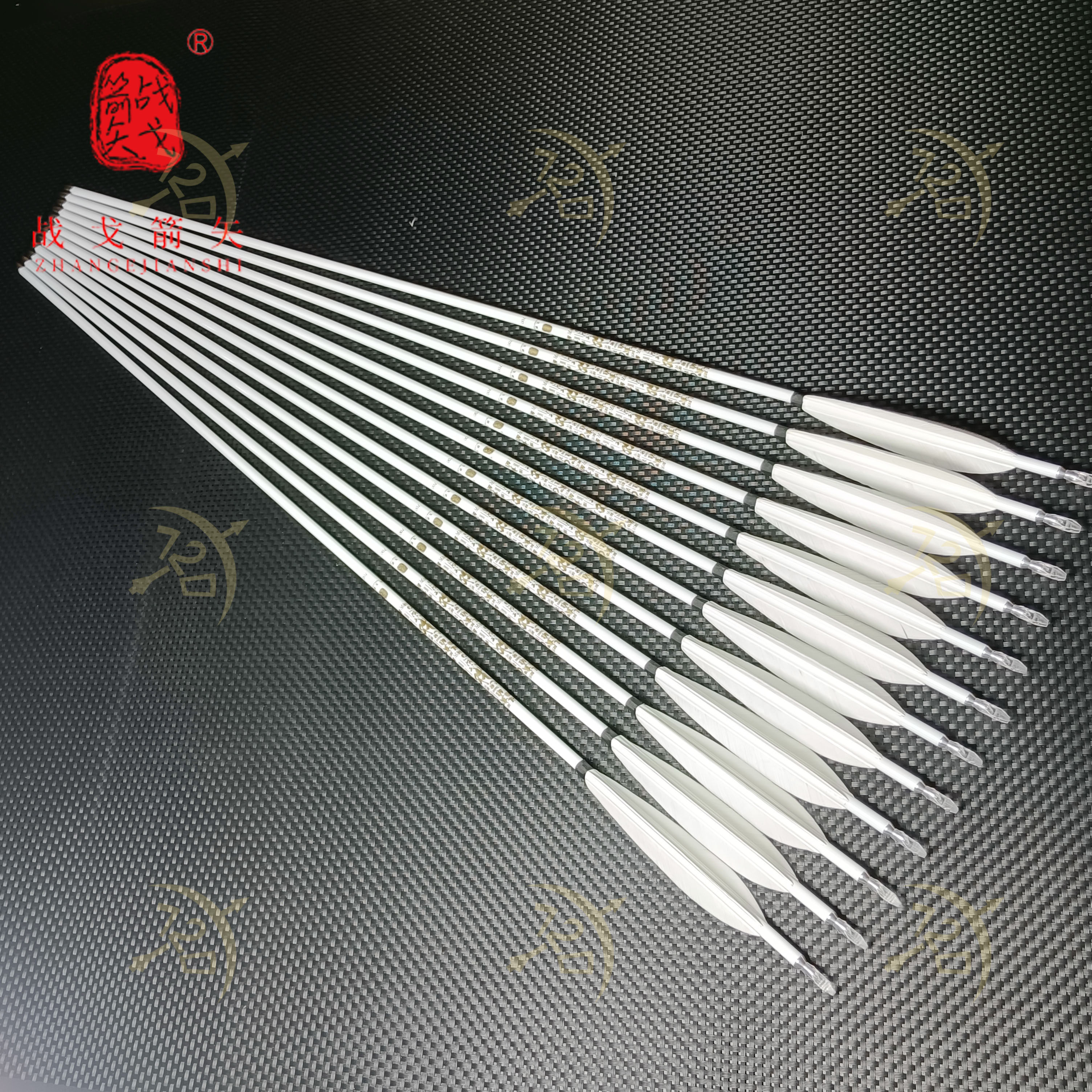 羽毛箭杆白杆战鸽碳箭6.2云端千六梭羽真羽碳箭