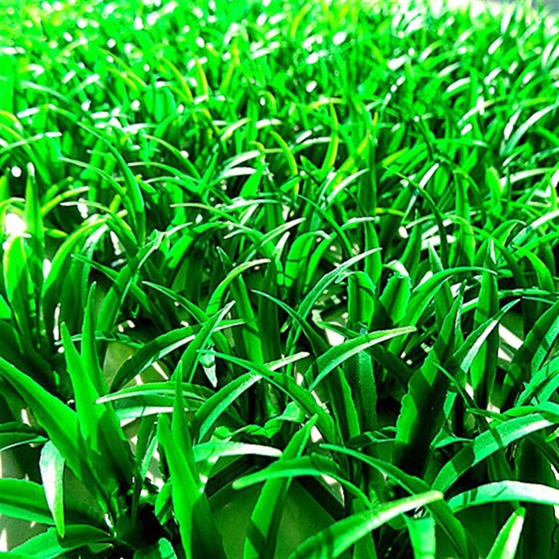 仿真草坪!植物墙塑料人造草皮外墙房顶装饰带花草坪幼儿园假花