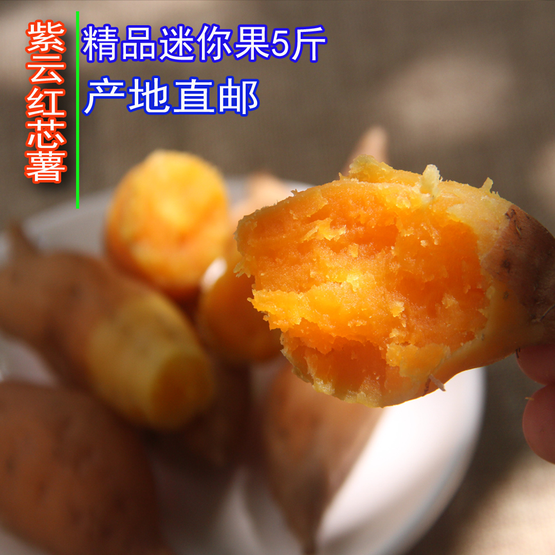 贵州新鲜精品紫云红芯薯迷你山芋地瓜现挖现发金手指小香薯小红薯