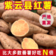 贵州新鲜精品紫云红心薯迷你山芋地瓜现挖现发金手指小香薯小红薯