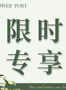 【FLOWER PORT | 限时专享 】5.9   花烛
