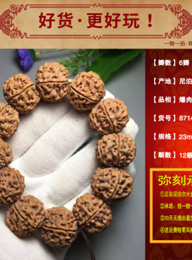 弥刻爆肉粗纹6瓣23mm尼泊尔大金刚菩提手串红皮高密平头平尾男士