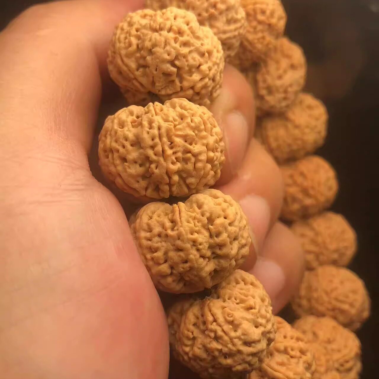五星针孔蜂王矮桩7瓣手串黄皮