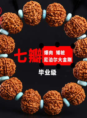 弥刻爆肉正宗7瓣尼泊尔大金刚粗纹矮桩菩提手串黄红皮男佛珠绿松