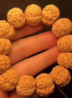 弥刻蜂王7瓣20mm尼泊尔大金刚菩提手串原籽天然满肉蜂窝佛珠手串