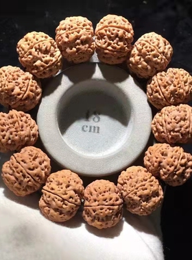 弥刻收藏级尼泊尔6瓣24mm+爆肉蜂窝矮桩黄皮菩提子手串佛珠精品