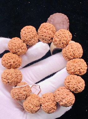 尼泊尔大金刚男士6瓣25mm菩提