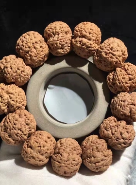 弥刻6瓣25+mm芒星爆肉双龙矮桩平头平尾尼泊尔大金刚菩提子手串男