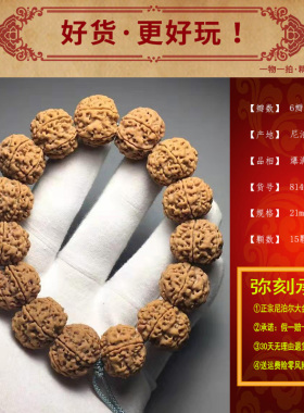 尼泊尔爆满肉佛珠大金刚菩提子