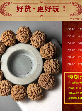尼泊尔菩提牛筋纹理蜂窝大金刚