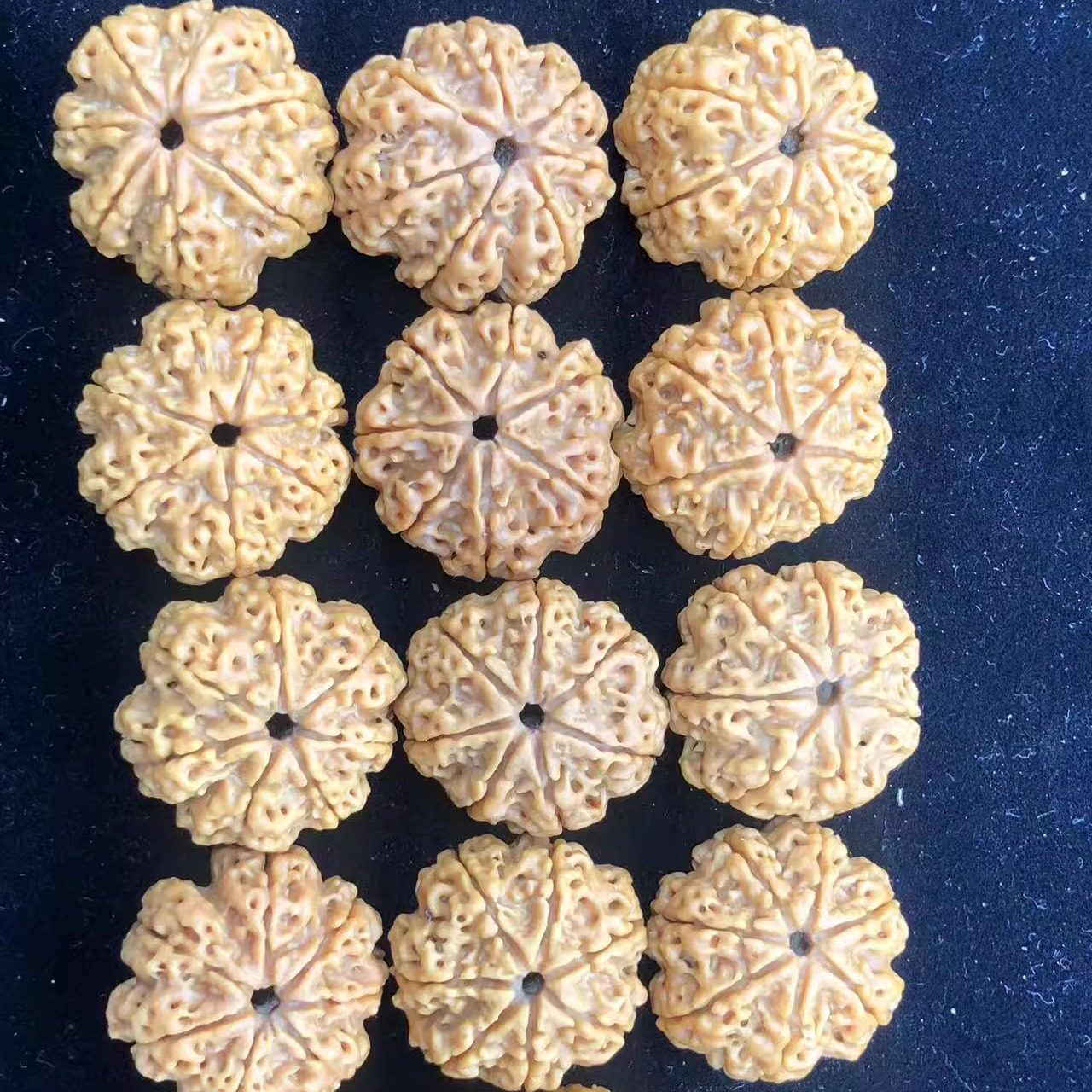 7瓣24mm尼泊尔大金刚七瓣菩提手串佛珠手链文玩天然原生态爆肉黄