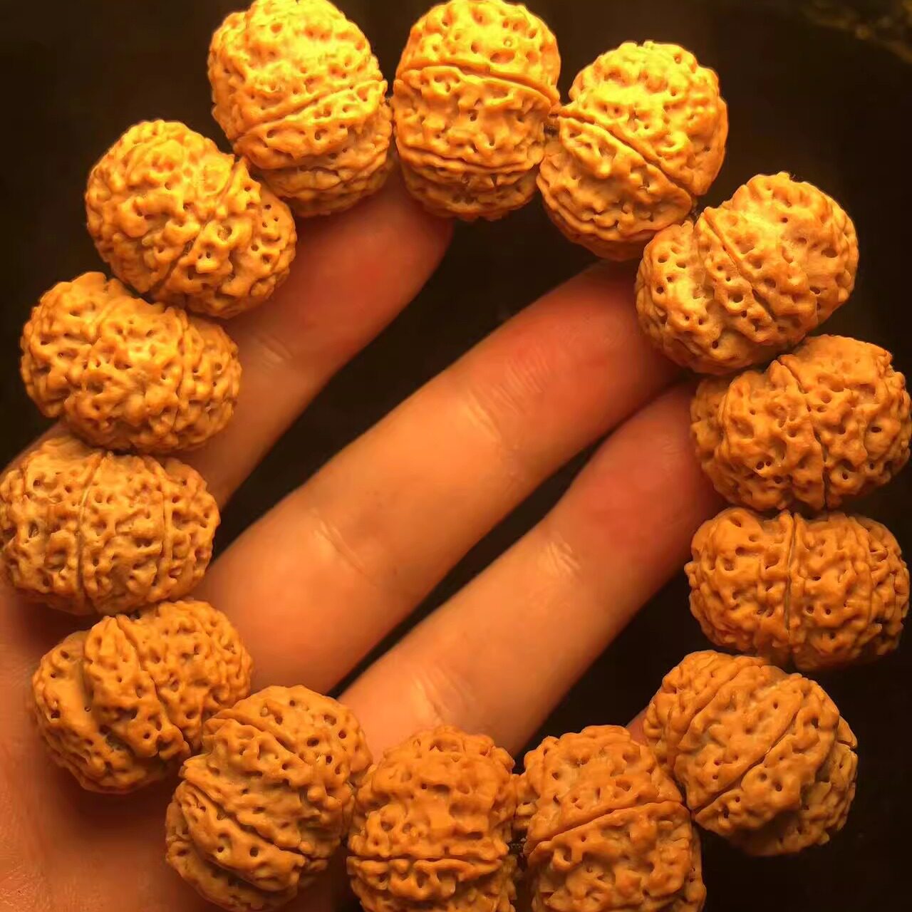 毕业级爆肉蜂窝7瓣23-24mm