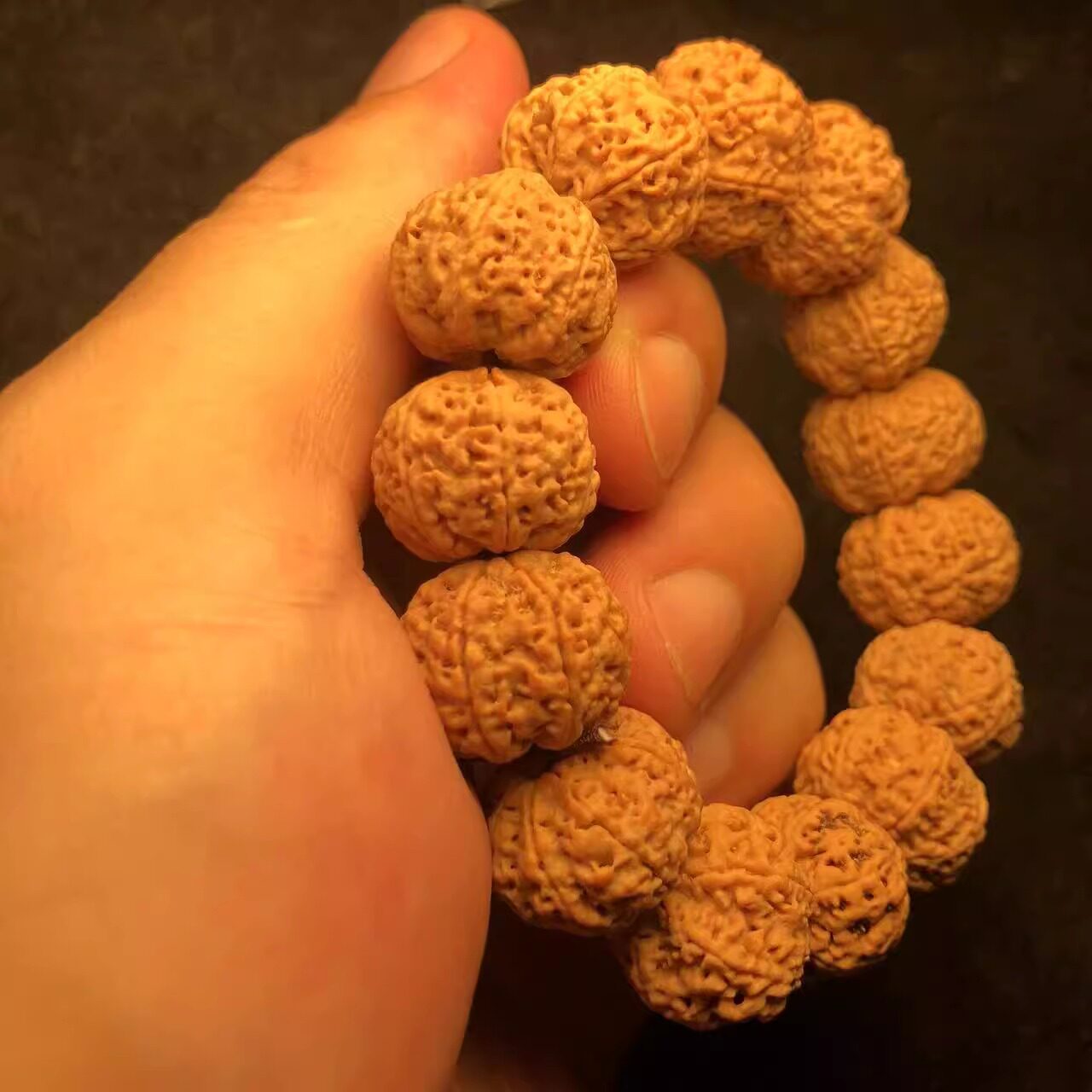 蜂王7瓣18mm尼泊尔黄皮满肉矮桩