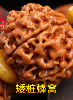 孤品粗纹七瓣限量款大金刚菩提子