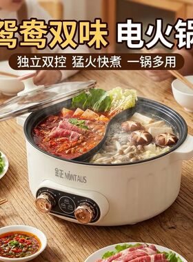 金正鸳鸯电火锅家用多功能家用锅