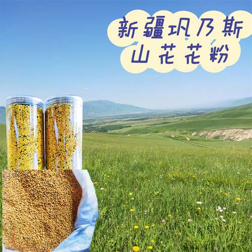 新疆蜂头当季新鲜巩乃斯黑蜂山花花粉500克包邮收到后冷冻储存