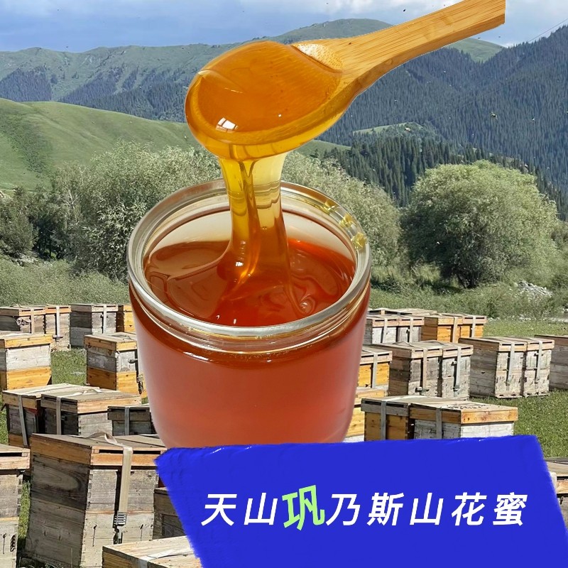 新疆天山巩乃斯山药材花蜜土蜂蜜一瓶一斤买一赠一2斤包邮农家
