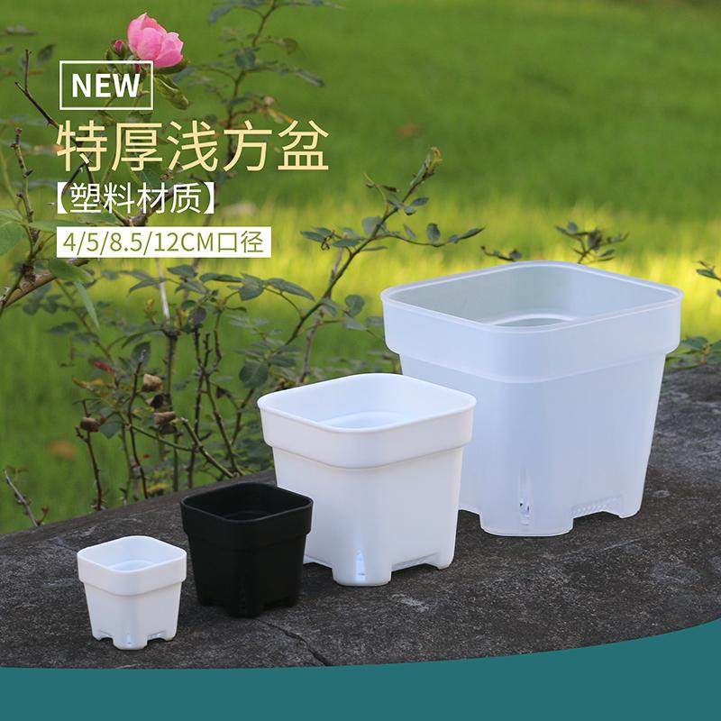 特厚多肉矮浅方盆生石花肉锥播种简约扦插小白方拇指盆塑料花盆,鲜花速递/花卉仿真/绿植园艺,花盆,淘宝优惠券,粉丝福利购,淘宝优惠卷