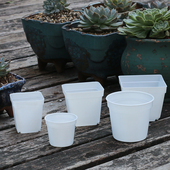 一次性塑料花盆多肉育苗盆白色7方盆10cm圆盆黑色8.5薄款 营养杯