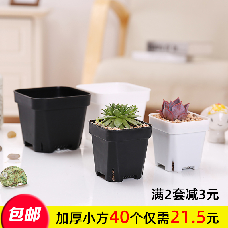 园艺多肉小花盆塑料小方盆黑白大方盆肉肉植物叶插盆加厚方形小号