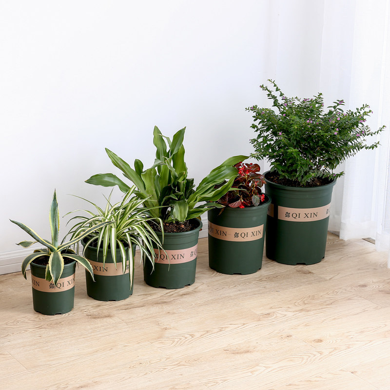 园艺1.5加仑盆树脂花盆大号阳台特大号种花超大多肉绿萝塑料清仓