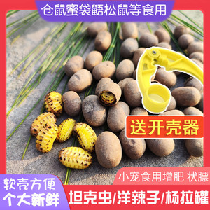 蜜袋鼯仓鼠粮食零食坦克虫洋辣子花枝鼠松鼠啦虫金丝熊杨拉罐食用