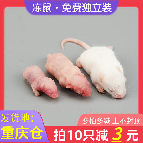 蛇饲料质量怎么样 蛇饲料口碑怎么样 小麦优选