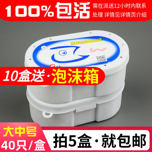 葡萄蜜虫钓鱼鱼饵玉米虫守宫零食