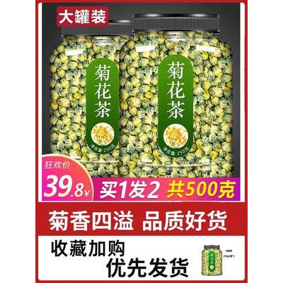 菊花茶胎王桐乡特正品级