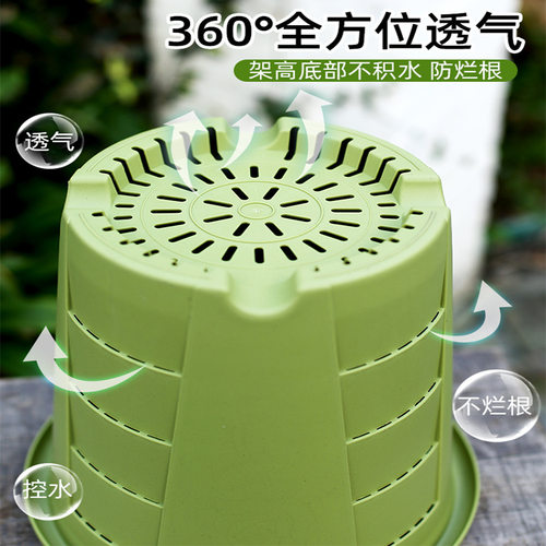 加厚款三代青山盆控根盆大号