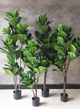 盆栽大型绿植假树室内客厅装饰橱窗陈列摆件亚马孙热卖仿真琴叶榕