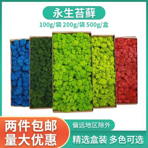 永生苔藓假植物墙造景装饰手工30