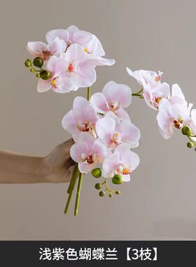 含阳仿真花高档手感保湿5头兰
