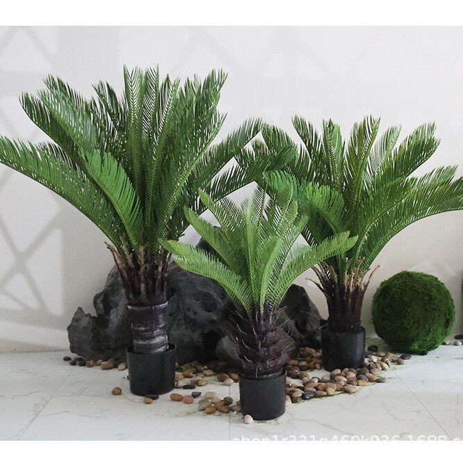 仿真苏铁树芭蕉树龙血树盆栽室内酒店商场造景仿真绿植装饰摆件