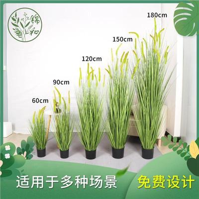 仿真狗尾巴草芦苇草客厅室内盆栽天然蒲苇草装饰蒲草绿植摆件