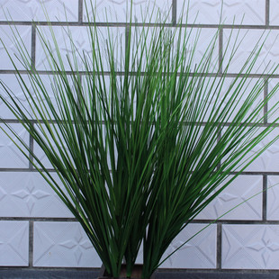 毛毛草牧草狗尾巴草芮草橱窗布景装饰摆放植物狼尾草仿真喷色春草