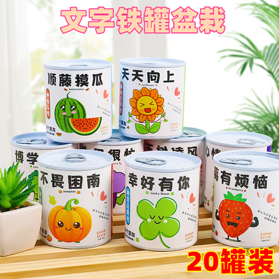 儿童罐头创意小盆栽礼物栽培桌面迷你绿植草莓向日葵种植种子盲盒