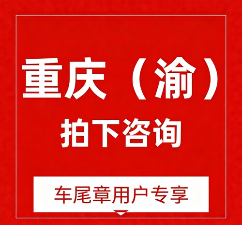 重庆违章（自助）