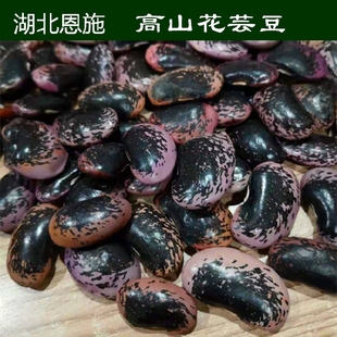 硒都恩施湖北高山芸豆农家大黑花芸豆牛眼豆大花豆花云豆肾豆
