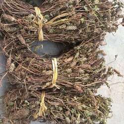 野生夏枯草夏枯球全草晒干夏枯草茶夏枯草凉茶牛低头整颗新货散装