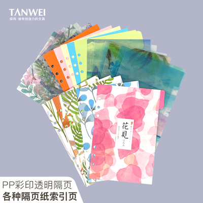 加厚植物森林透明pvc磨砂分隔页