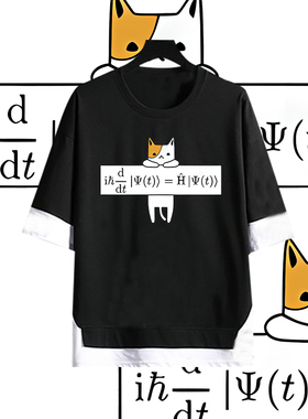 Schrödinger方程式薛定谔猫印花假两件男女情侣纯棉宽松五分袖T