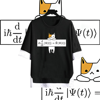 Schrödinger方程式薛定谔猫印花假两件男女情侣纯棉宽松五分袖T