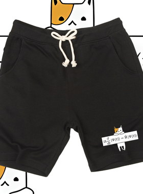 Schrödinger方程式薛定谔猫周边五分裤男女情侣宽松潮流百搭短裤