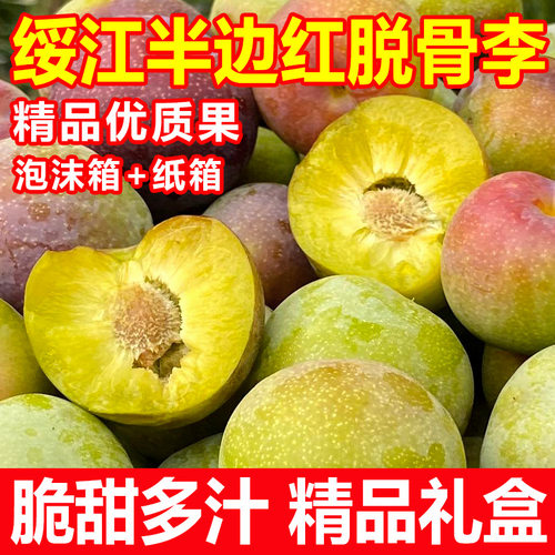 大果云南绥江半边红脱骨李子当季