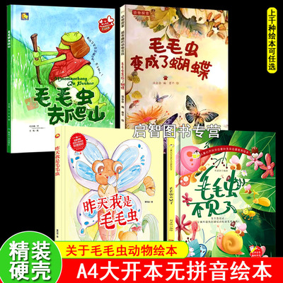 精装硬壳硬皮绘本关于毛毛虫的绘本大开本A4无拼音有声伴读毛毛虫去爬山昨天我是毛毛虫科普类绘本毛毛虫不见了变成了蝴蝶昆虫百科